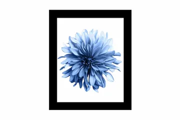 Tavla Abstract med Ram Flerfärgad - 23,5x28,5 cm - Inredning - Tavlor & posters - Canvastavla
