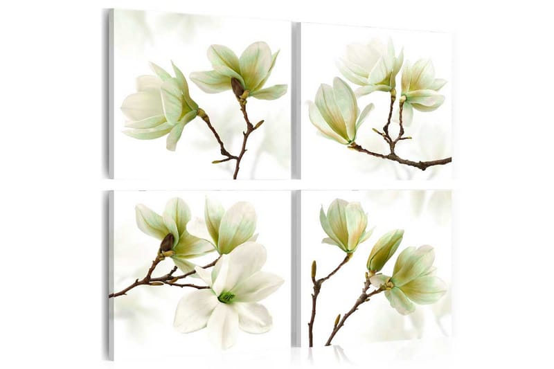 Tavla Admiration Of Magnolia 80x80 - Artgeist sp. z o. o. - Canvastavla