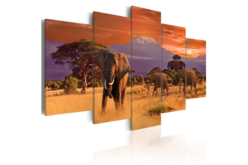 Tavla Africa Elephants 200x100 - Artgeist sp. z o. o. - Canvastavla