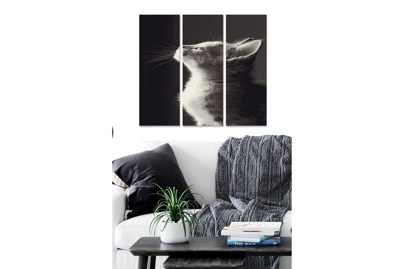 Tavla Animal 3-pack Flerfärgad, 20x50 cm