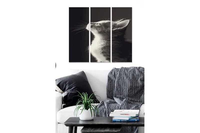 Tavla Animal 3-pack Flerfärgad, 20x50 cm