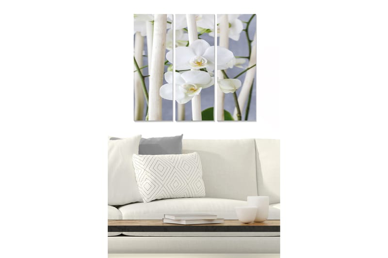 Tavla Animal 3-Pack Flerfärgad 20X50 - 20x50 cm - Inredning - Tavlor & posters - Canvastavla