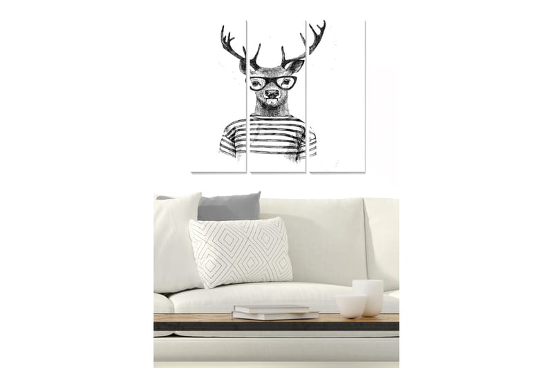 Tavla Animal 3-Pack Flerfärgad 20X50 - 20x50 cm - Inredning - Tavlor & posters - Canvastavla