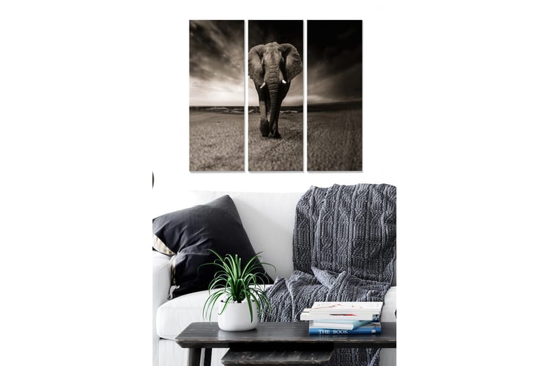 Tavla Animal 3-Pack Flerfärgad 20X50 - 20x50 cm - Canvastavla