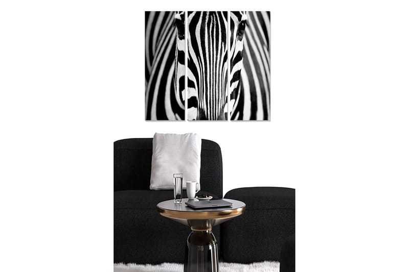 Tavla Animal 3-Pack Flerfärgad 20X50 - 20x50 cm - Inredning - Tavlor & posters - Canvastavla