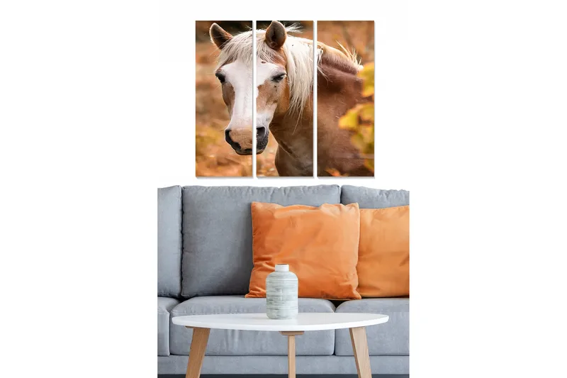 Tavla Animal 3-pack Flerfärgad, 20x50 cm