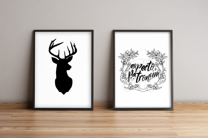 Tavla Animal Med Ram 2-Pack Flerfärgad 36X51 - 36x51 cm - Inredning - Tavlor & posters - Canvastavla