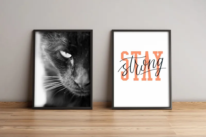 Tavla Animal med Ram 2-pack Flerfärgad - 36x51 cm - Inredning - Tavlor & posters - Canvastavla