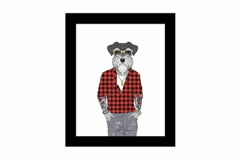 Tavla Animal Med Ram Flerfärgad 23,5X28,5 - 23,5x28,5 cm - Inredning - Tavlor & posters - Canvastavla