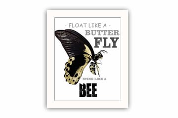 Tavla Animal med Ram Flerfärgad - 23,5x28,5 cm - Inredning - Tavlor & posters - Canvastavla