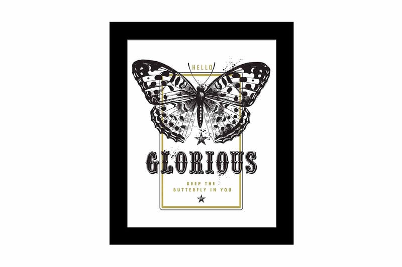 Tavla Animal med Ram Flerfärgad, 23,5x28,5 cm