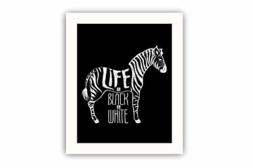 Tavla Animal med Ram Flerfärgad - 23,5x28,5 cm - Inredning - Tavlor & posters - Canvastavla