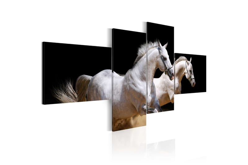 Tavla Animal World- White Horses Galloping 100x45 - Artgeist sp. z o. o. - Canvastavla