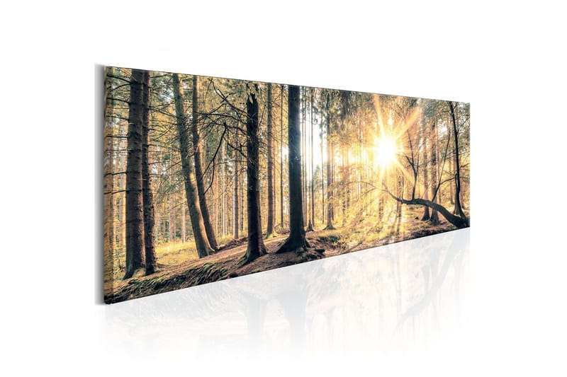 Tavla Autumn Retreat 135x45 cm