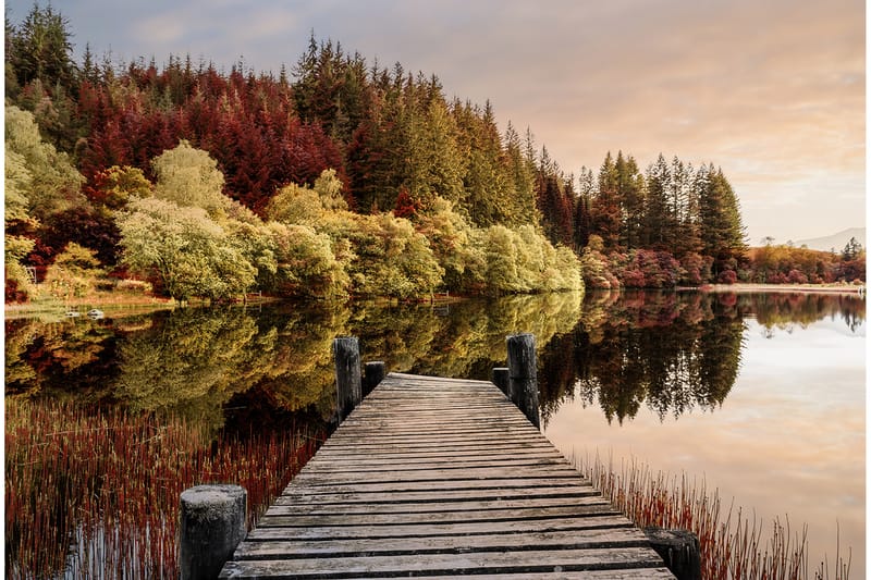 Tavla Autumn Path Flerfärgad 120X80 - 80x120 cm - Inredning - Tavlor & posters - Canvastavla
