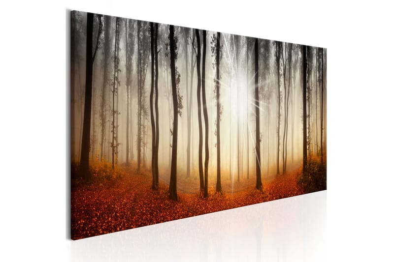 Tavla Autumnal Fog 150x50 - Artgeist sp. z o. o. - Canvastavla