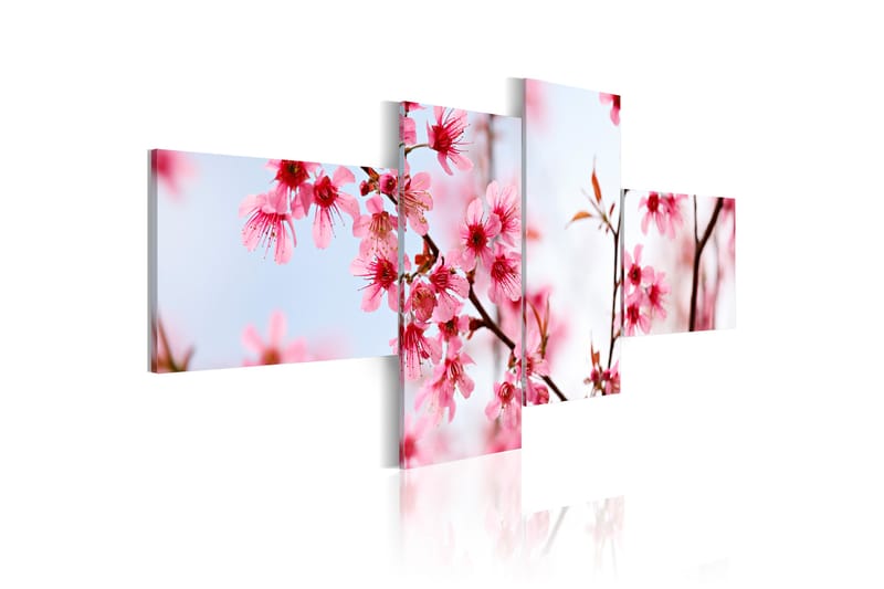 Tavla Beauty Of The Cherry Flowers 200x90 - Artgeist sp. z o. o. - Canvastavla