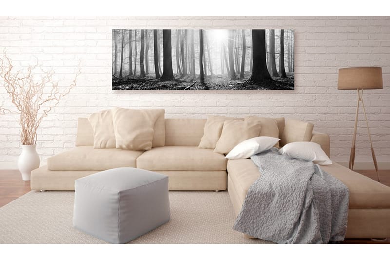 Tavla Black And White Forest 150x50 - Artgeist sp. z o. o. - Canvastavla