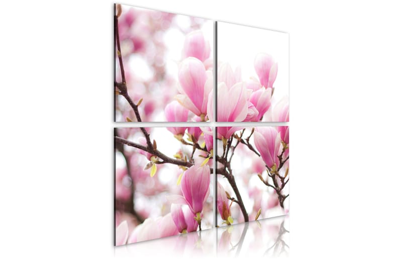 Tavla Blommande magnolia träd 60x60 - Artgeist sp. z o. o. - Canvastavla