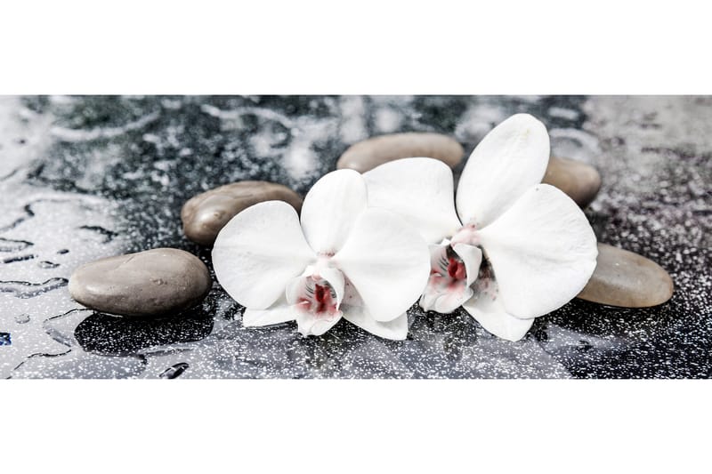 Tavla Brown Stones Flerfärgad 125X50 - 50x125 cm - Inredning - Tavlor & posters - Canvastavla