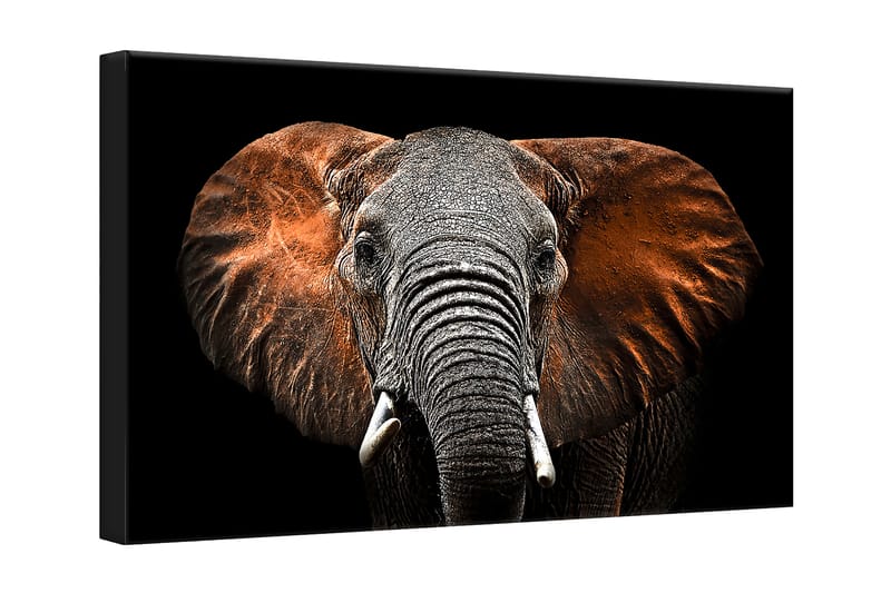 Tavla Canvas Silver Red Elephant - 75x100 cm - Canvastavla