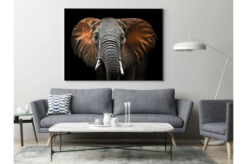 Tavla Canvas Silver Red Elephant - 75x100 cm - Canvastavla