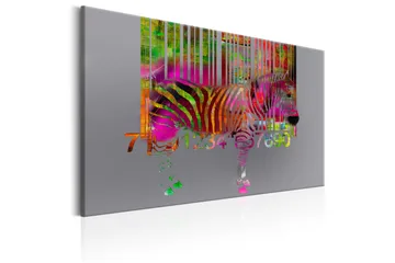Tavla Code of Zebra 60x40 cm - Inredning - Tavlor & posters - Canvastavla