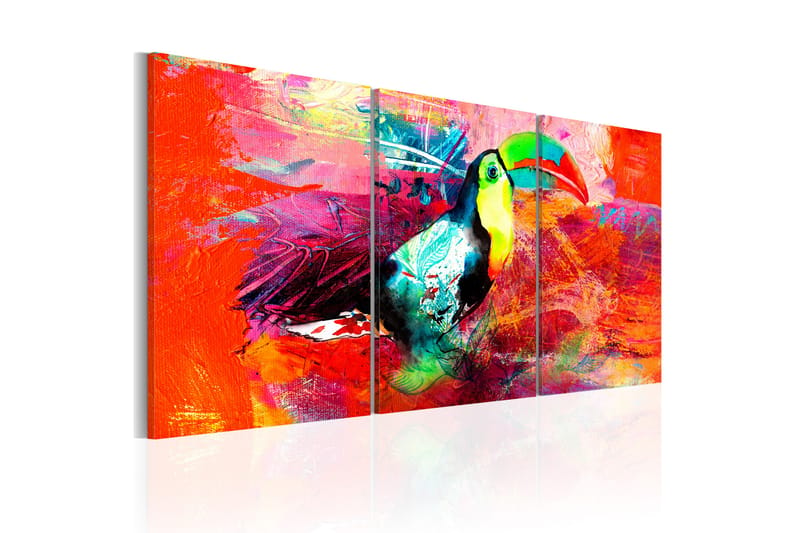 Tavla Colourful Toucan 60x30 - Artgeist sp. z o. o. - Canvastavla