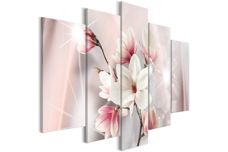 Tavla Dazzling Magnolias 5 Parts Wide 100x50 - Artgeist sp. z o. o. - Canvastavla