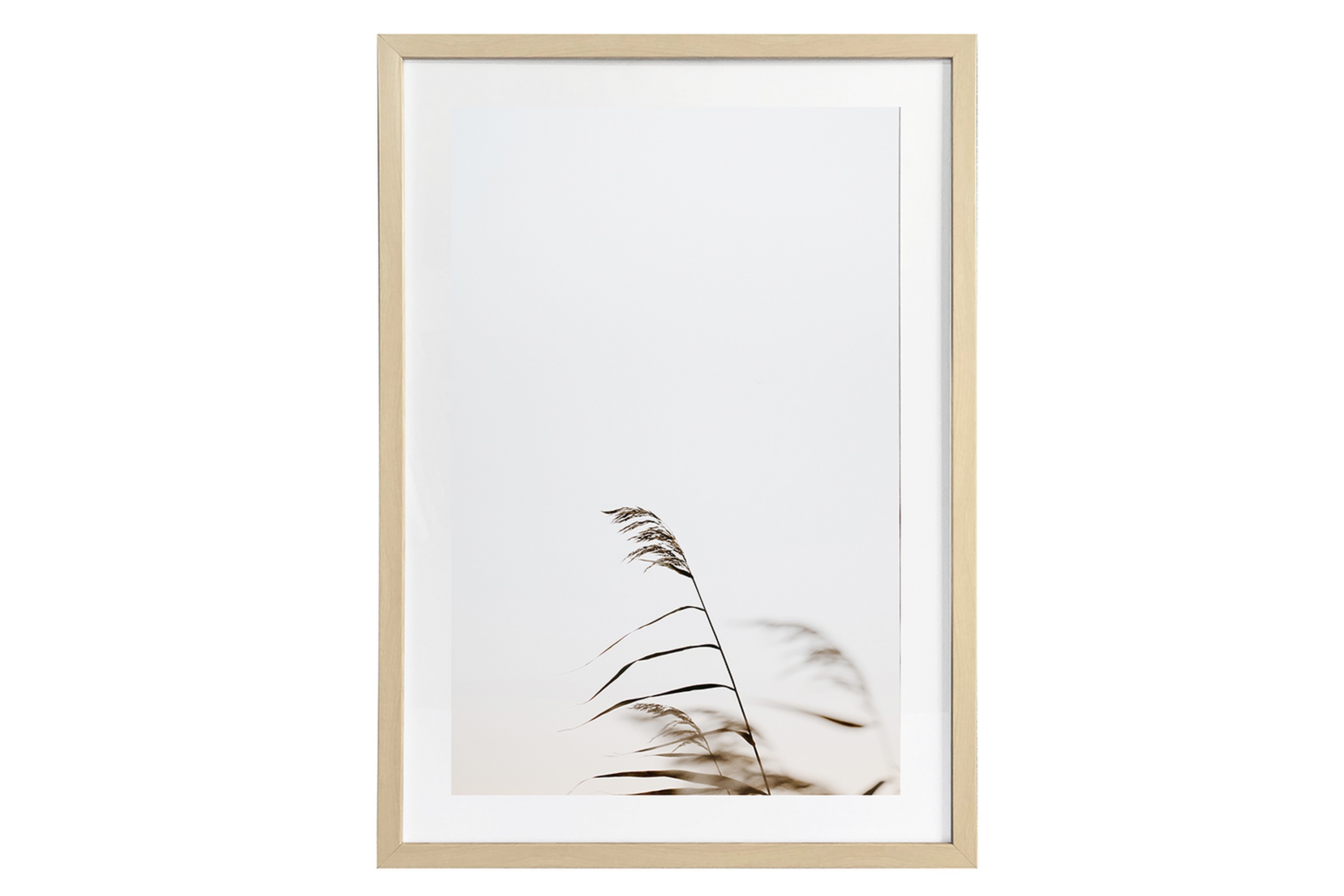 Tavla Deco Grass 1 50X70 Cm Vit\Brun 0
