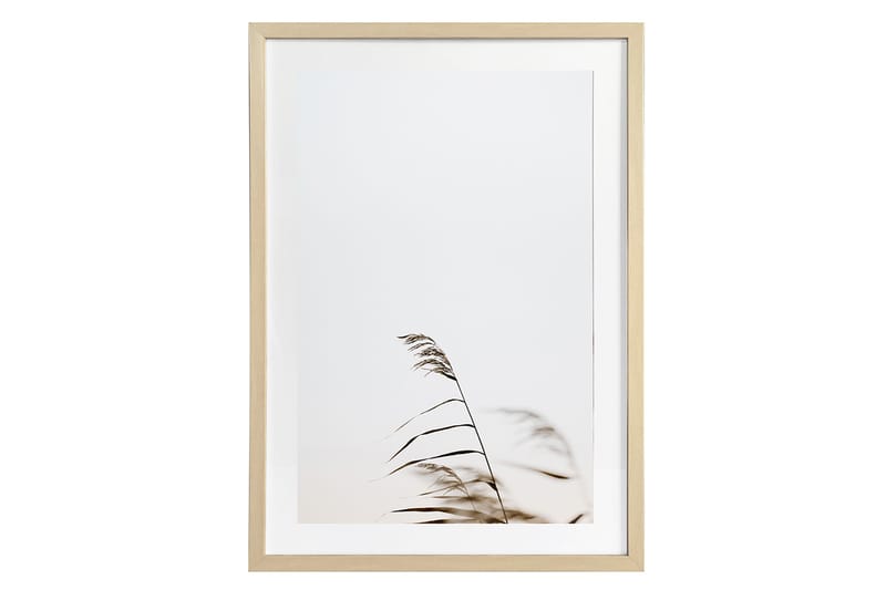 Tavla Deco Grass 1 50X70 Cm Vit|Brun - 0 - Canvastavla