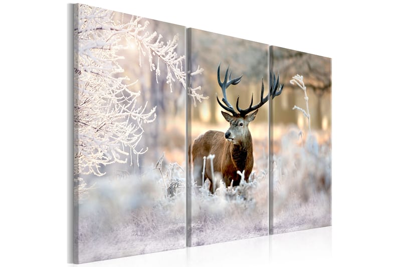Tavla Deer In The Cold 120x80 - Artgeist sp. z o. o. - Canvastavla