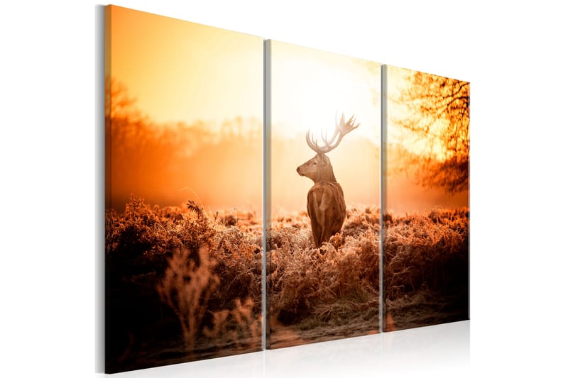 Tavla Deer In The Sun 120x80 - Artgeist sp. z o. o. - Canvastavla