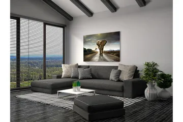 Tavla Elephant - 80x120 cm - Inredning - Tavlor & posters - Canvastavla