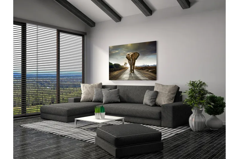 Tavla Elephant - 80x120 cm - Inredning - Tavlor & posters - Canvastavla