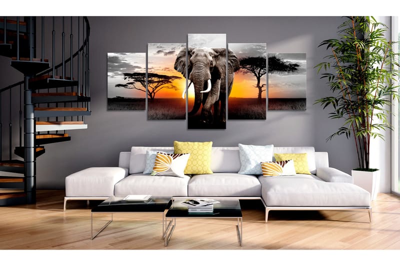 Tavla Elephant At Sunset 100x50 - Artgeist sp. z o. o. - Canvastavla