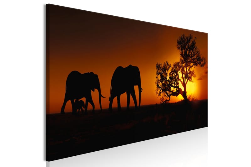 Tavla Elephant Family (Orange) 120x40 - Artgeist sp. z o. o. - Canvastavla