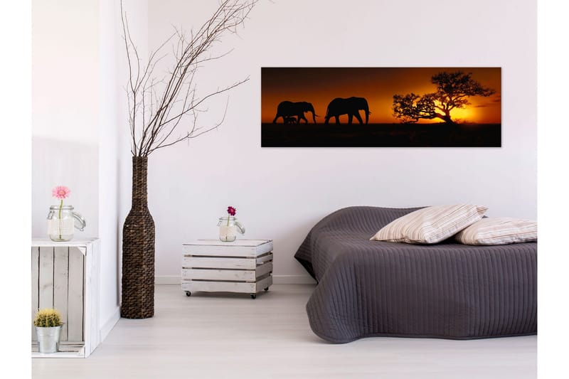 Tavla Elephant Family (Orange) 120x40