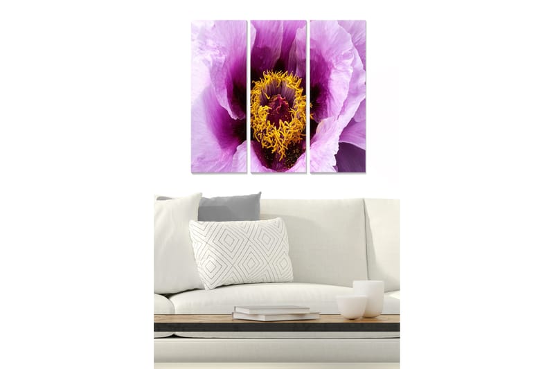 Tavla Floral 3-Pack Flerfärgad 20X50 Cm - 20x50 cm - Inredning - Tavlor & posters - Canvastavla