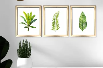 Tavla Floral med Ram 3-pack Flerfärgad - 23,5x28,5 cm - Inredning - Tavlor & posters - Canvastavla