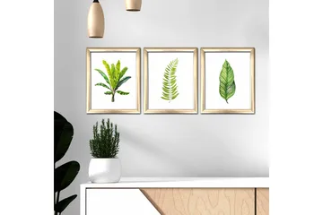 Tavla Floral med Ram 3-pack Flerfärgad - 23,5x28,5 cm - Inredning - Tavlor & posters - Canvastavla