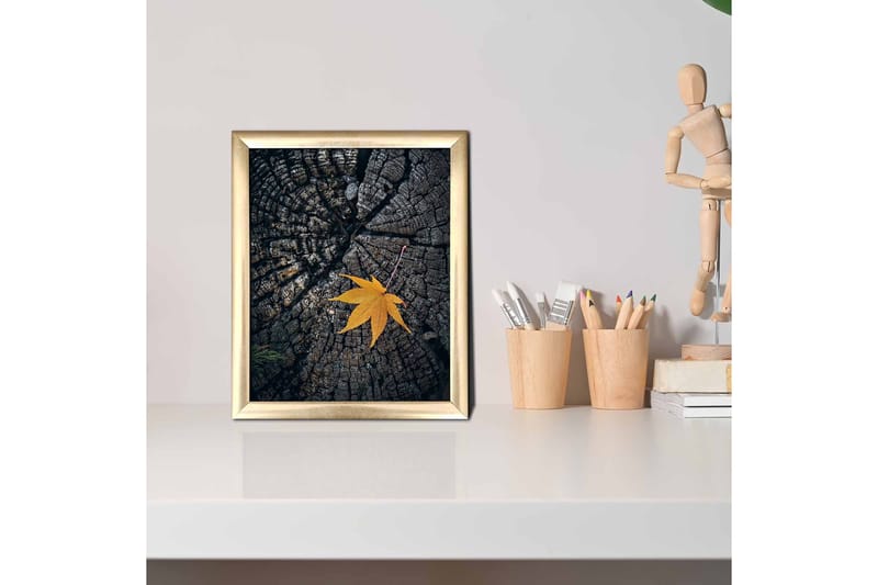 Tavla Floral Med Ram Flerfärgad 23,5X28,5 - 23,5x28,5 cm - Inredning - Tavlor & posters - Canvastavla