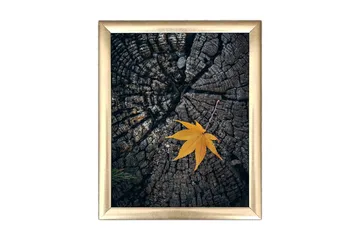 Tavla Floral med Ram Flerfärgad - 23,5x28,5 cm - Inredning - Tavlor & posters - Canvastavla