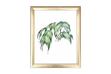 Tavla Floral med Ram Flerfärgad - 23,5x28,5 cm - Inredning - Tavlor & posters - Canvastavla