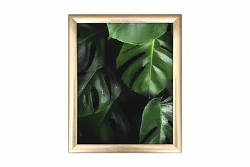 Tavla Floral med Ram Flerfärgad - 23,5x28,5 cm - Inredning - Tavlor & posters - Canvastavla