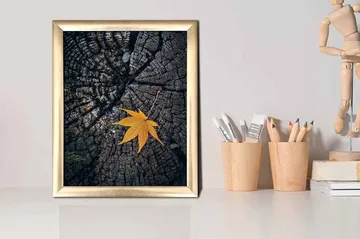 Tavla Floral med Ram Flerfärgad - 23,5x28,5 cm - Inredning - Tavlor & posters - Canvastavla