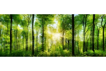 Tavla Forest 125X50 Flerfärgad - 50x125 cm - Inredning - Tavlor & posters - Canvastavla