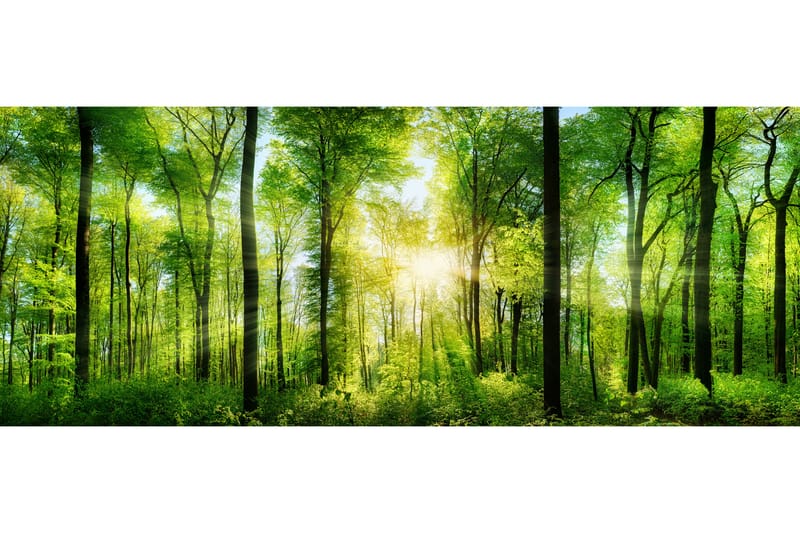 Tavla Forest 125X50 Flerfärgad - 50x125 cm - Inredning - Tavlor & posters - Canvastavla