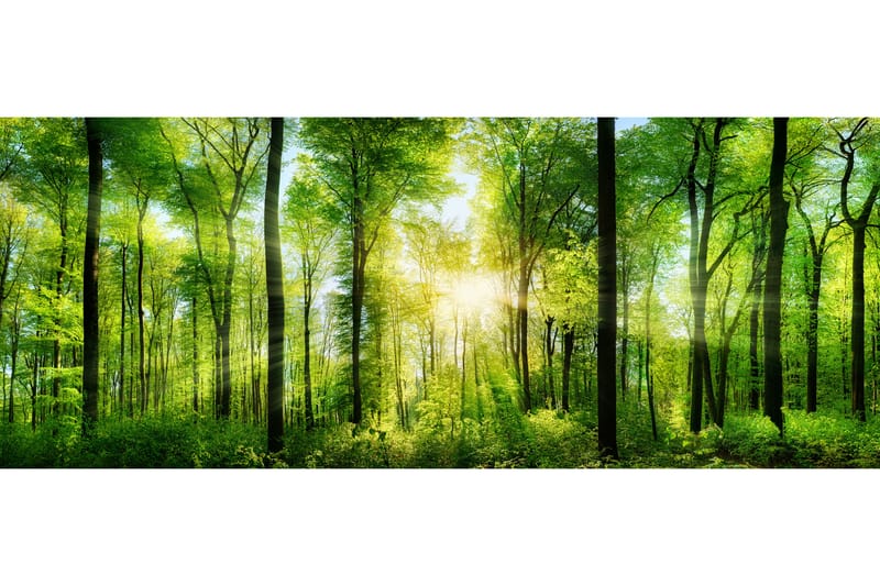 Tavla Forest 125X50 Flerfärgad - 50x125 cm - Canvastavla