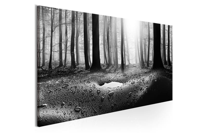 Tavla Forest after Rain (1 Part) Narrow 150x50 - Inredning - Tavlor & posters - Canvastavla
